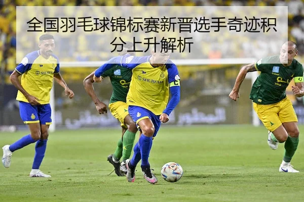 全国羽毛球锦标赛新晋选手奇迹积分上升解析
